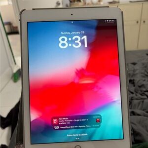 Apple iPad - rose gold